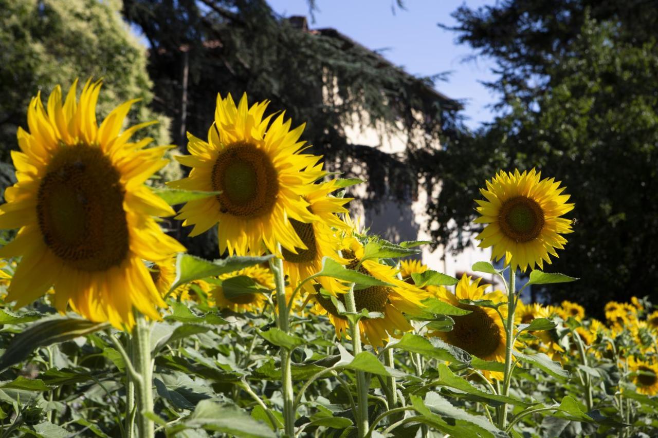 Agriturismo La Topaia Borgo San Lorenzo Ngoại thất bức ảnh