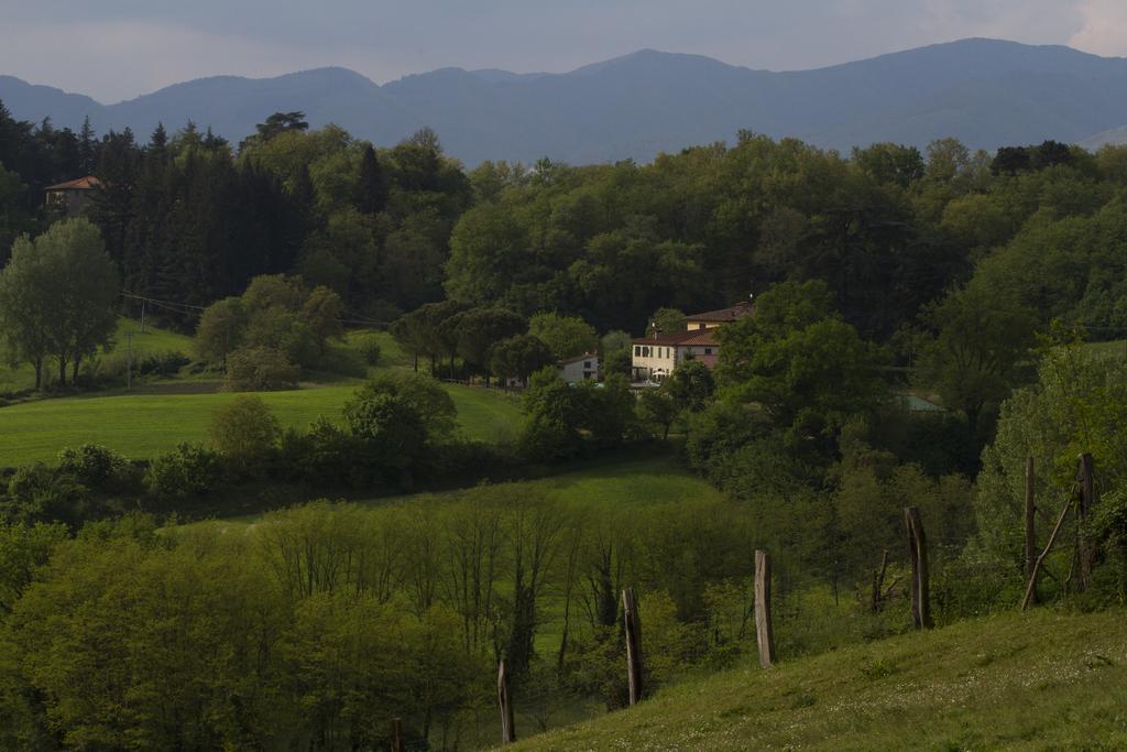 Agriturismo La Topaia Borgo San Lorenzo Ngoại thất bức ảnh