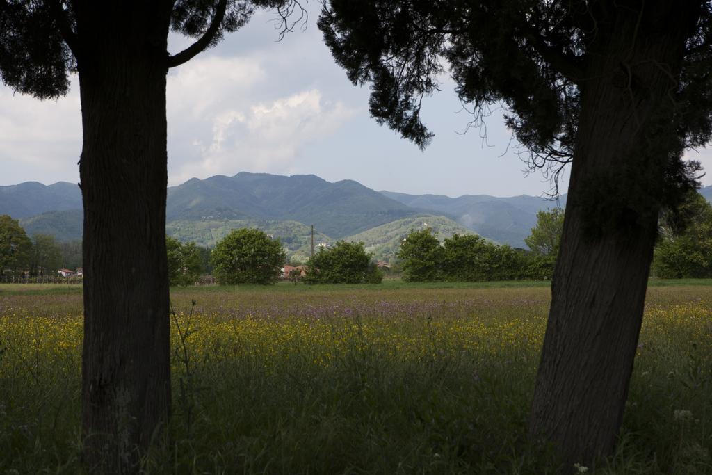 Agriturismo La Topaia Borgo San Lorenzo Ngoại thất bức ảnh