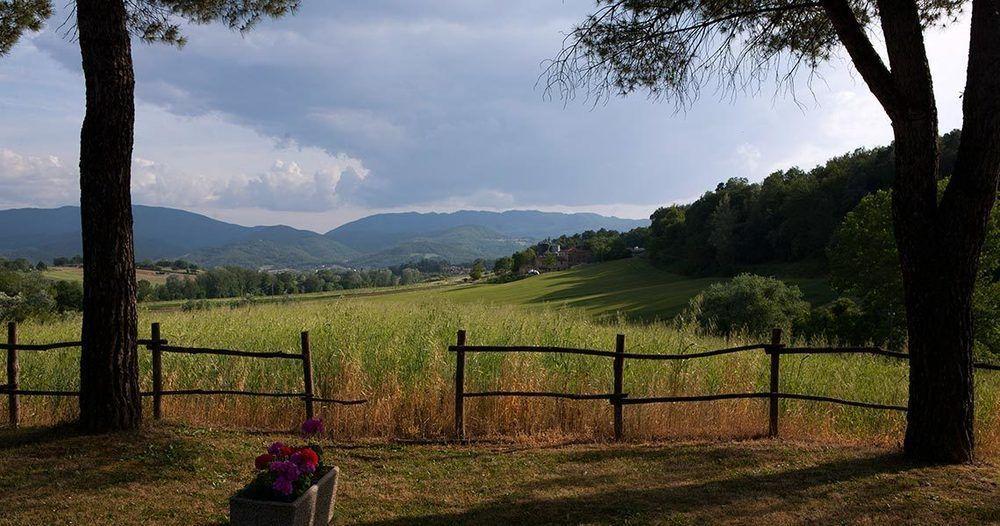 Agriturismo La Topaia Borgo San Lorenzo Ngoại thất bức ảnh