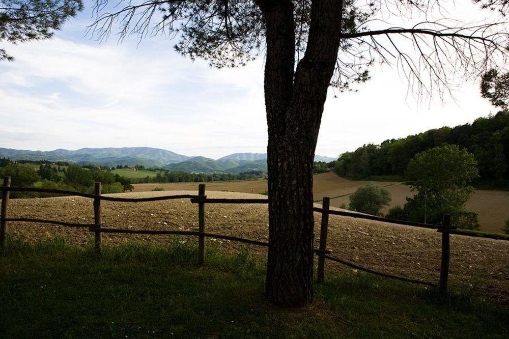 Agriturismo La Topaia Borgo San Lorenzo Ngoại thất bức ảnh