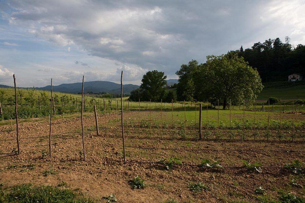 Agriturismo La Topaia Borgo San Lorenzo Ngoại thất bức ảnh